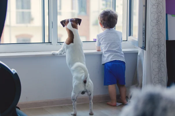 chłopiec i pies wyglądający razem przez okno