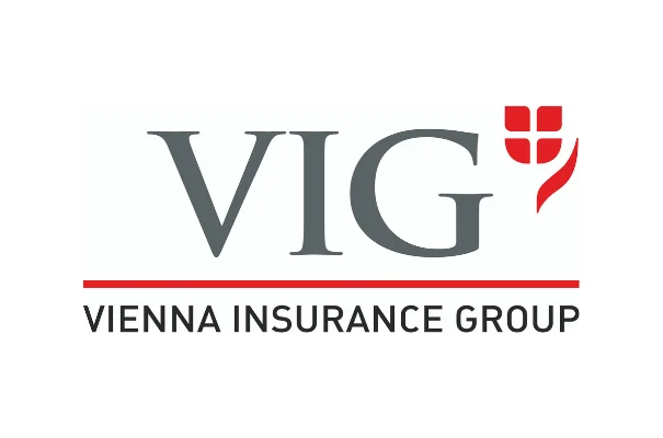 logo VIG